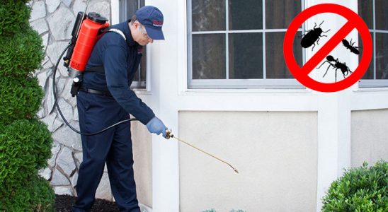 Mazıdağı Bit İlaçlama böcek ilaçlama ve haşere kontrolü — ilaclama-tr.com